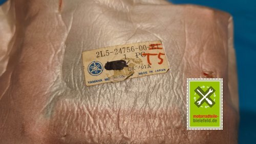 IMG_20231128_164843